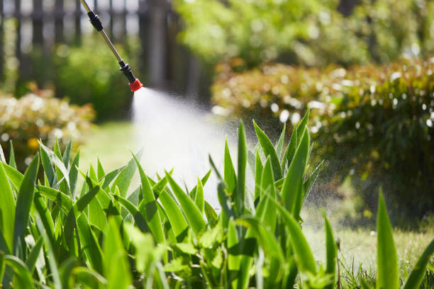 24/7 Emergency Mosquito Control experts in Manly, IA