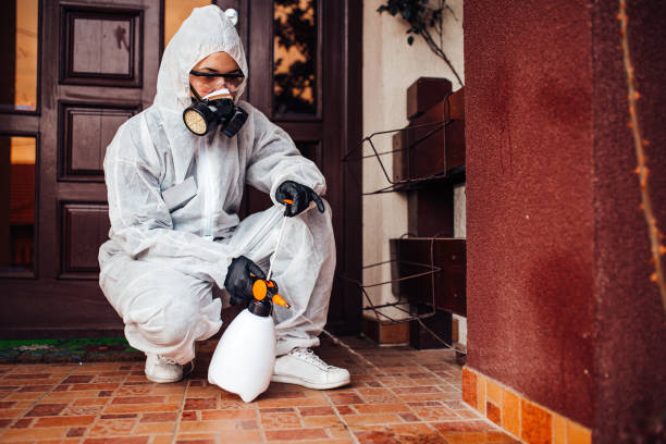 Reliable Mosquito Control contractor in Manly, IA by Show Me Pest Control
